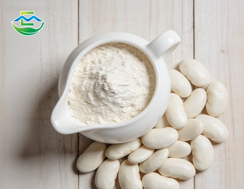 White Kidney Bean Extract powder